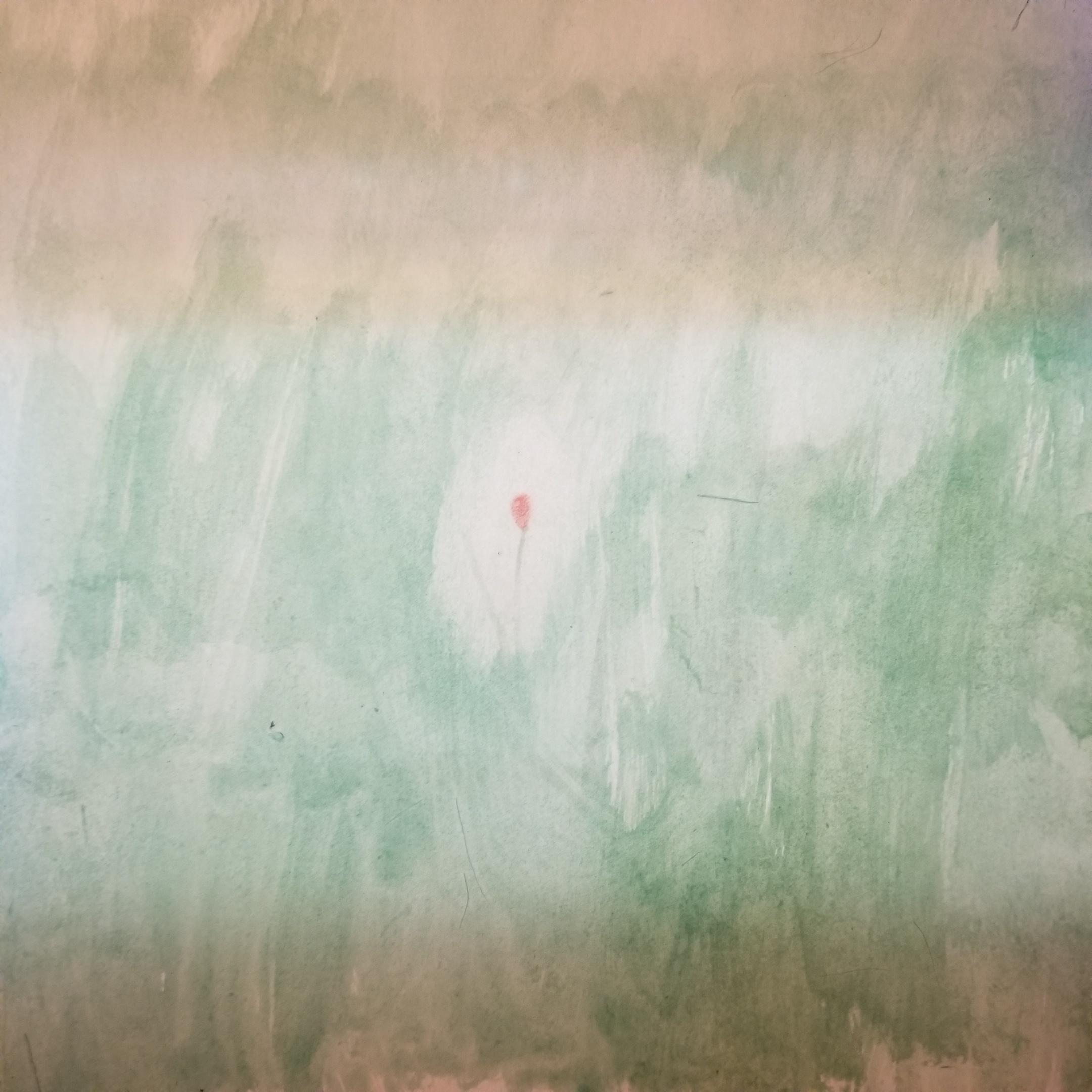 A lone flower in a field