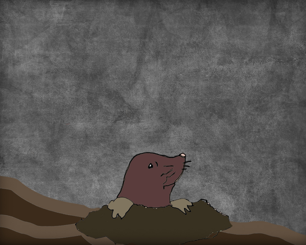 Mole