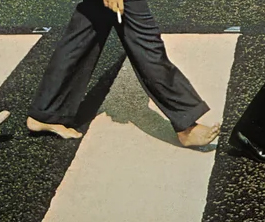 A Walrus Dressed like&nbsp;Paul