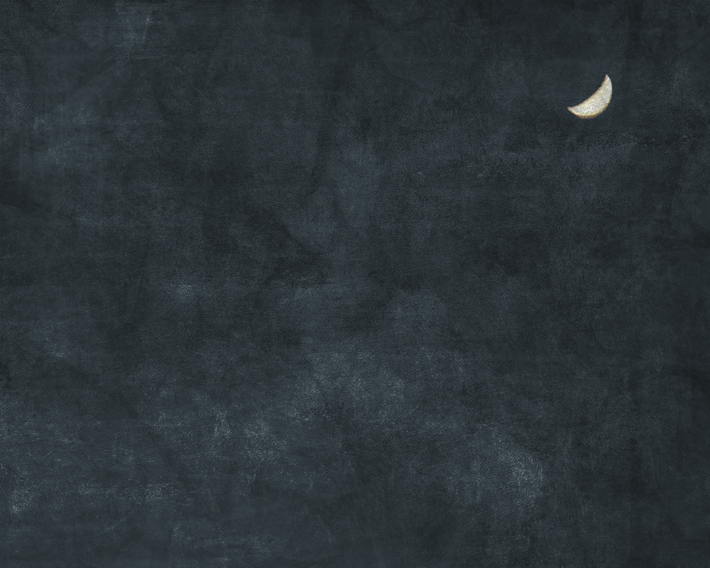 Venus in the night sky