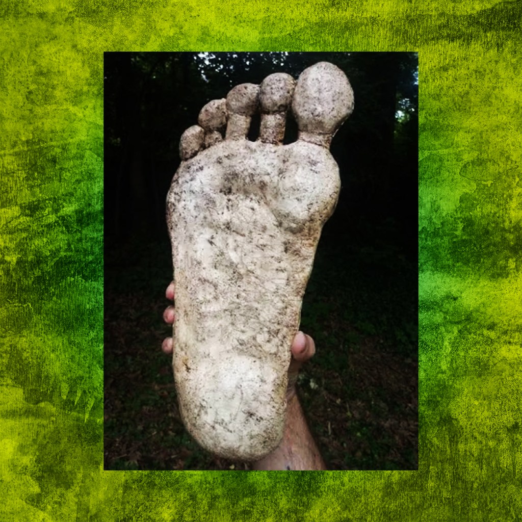 My Digital Footprint