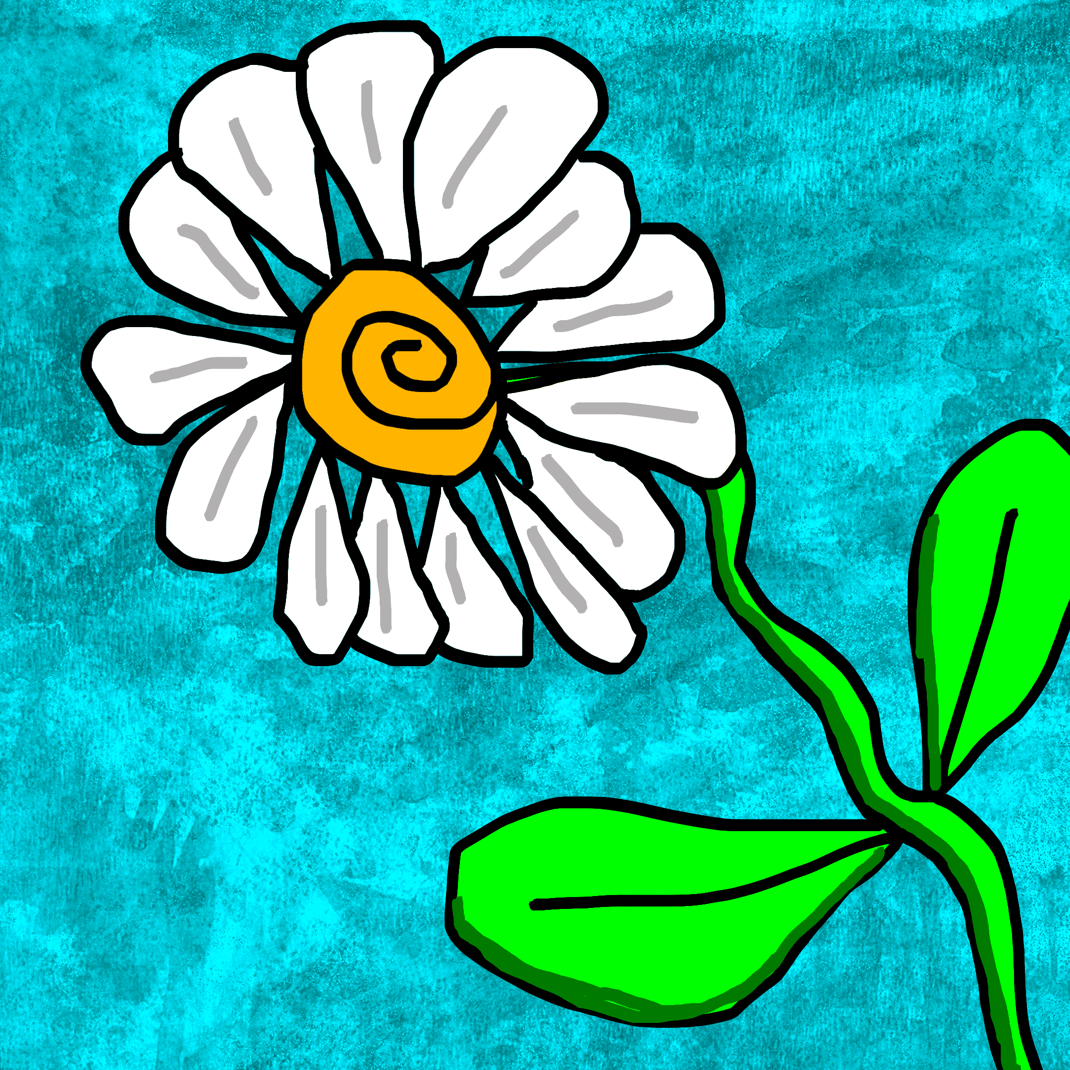 daisy