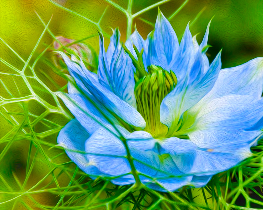 Flower Art