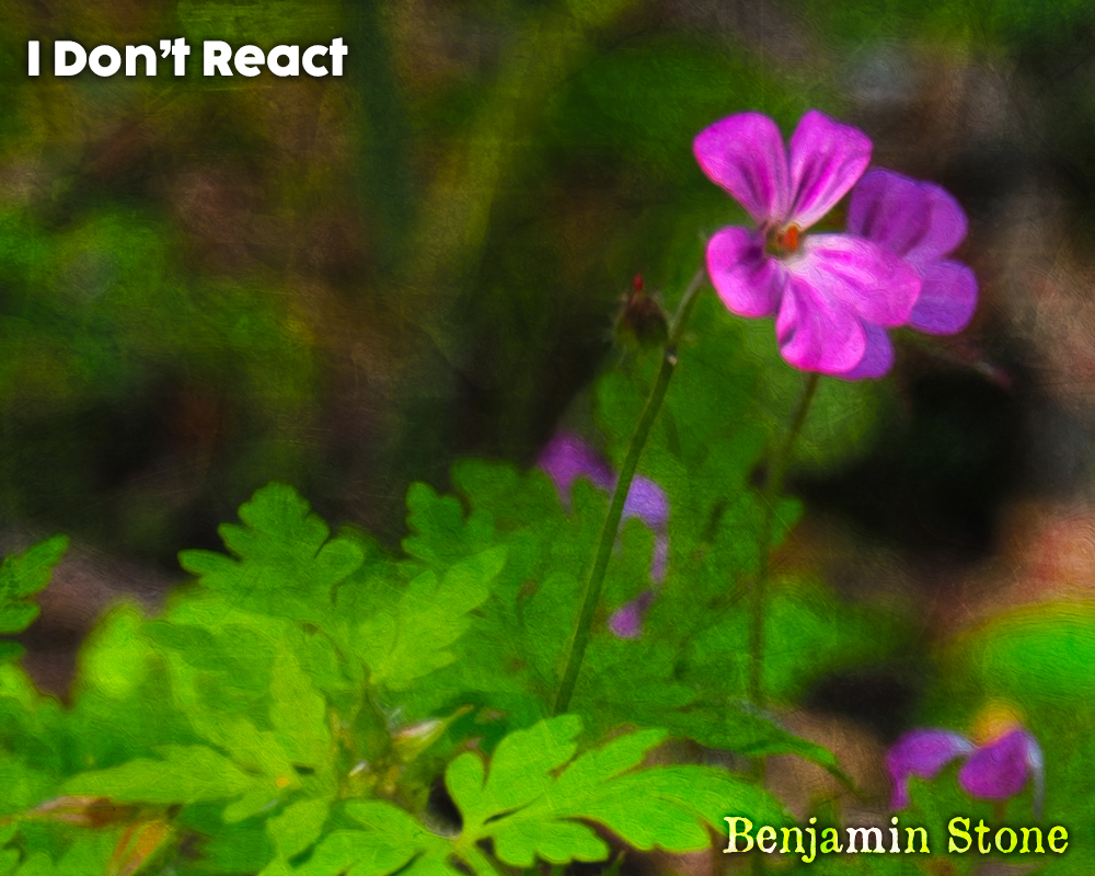 I Don’t React