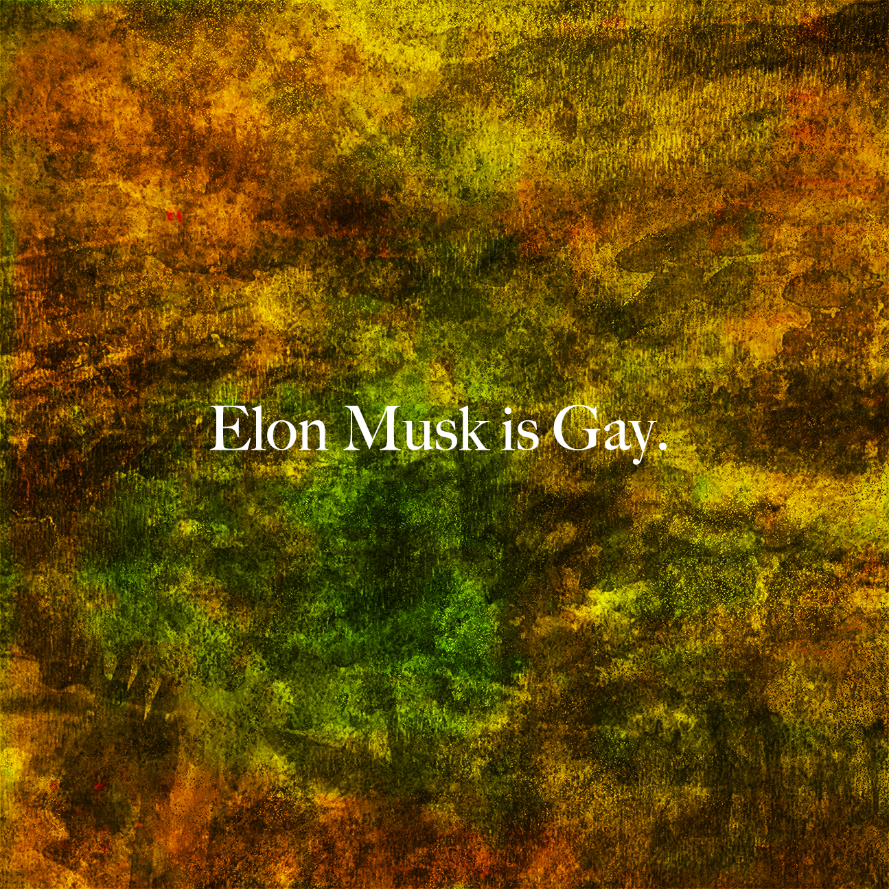 Elon Musk is Gay