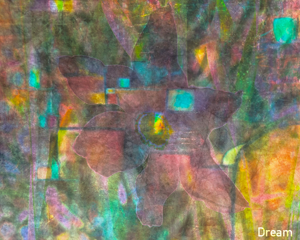 Poet’s Narcissus Art