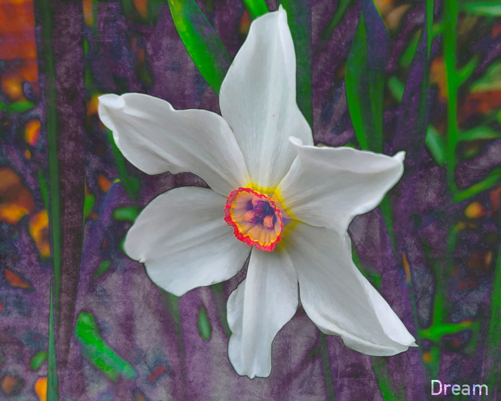 Smell the Lovely&nbsp;Flowers