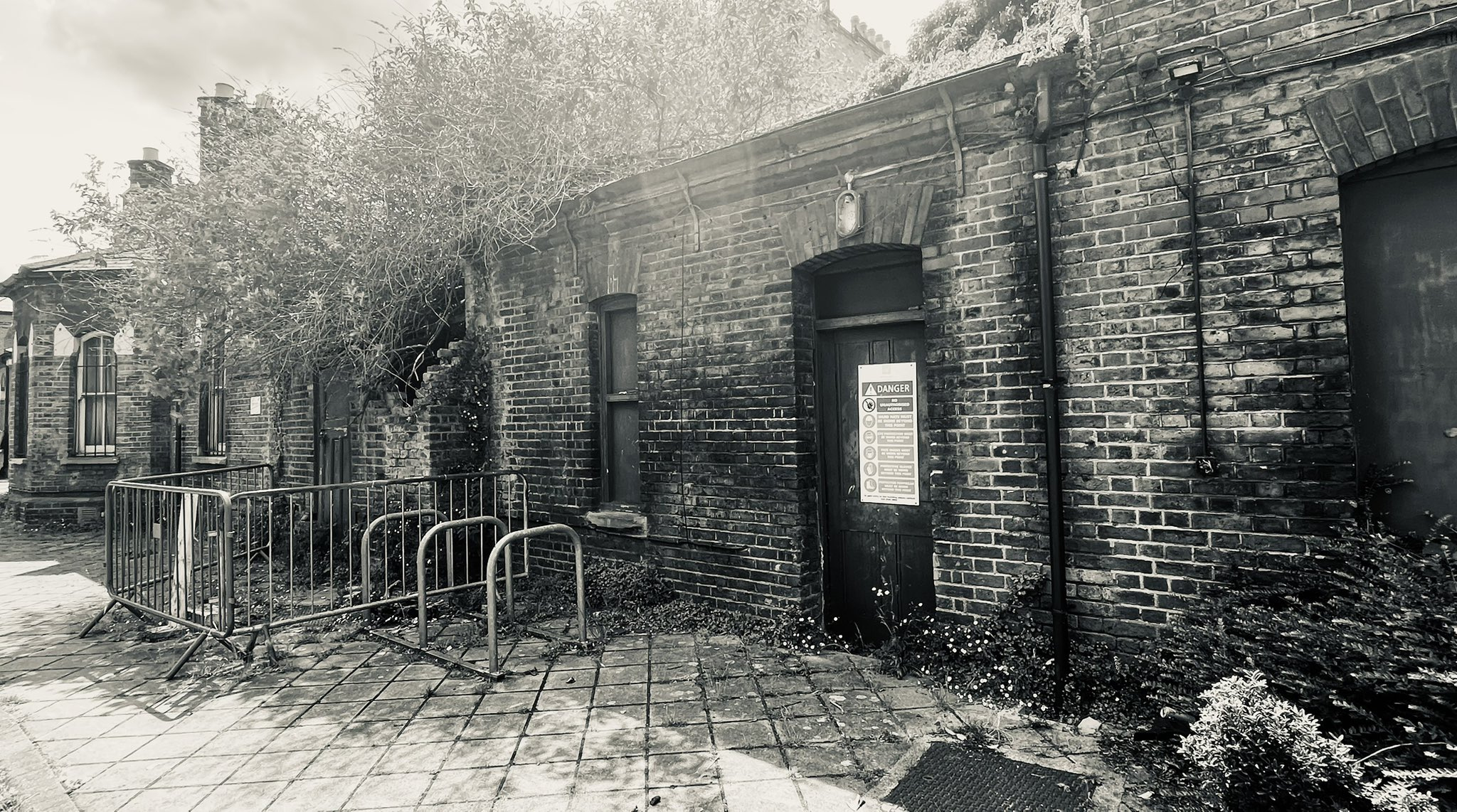 A Photo I Found in My Stock Photos Folder