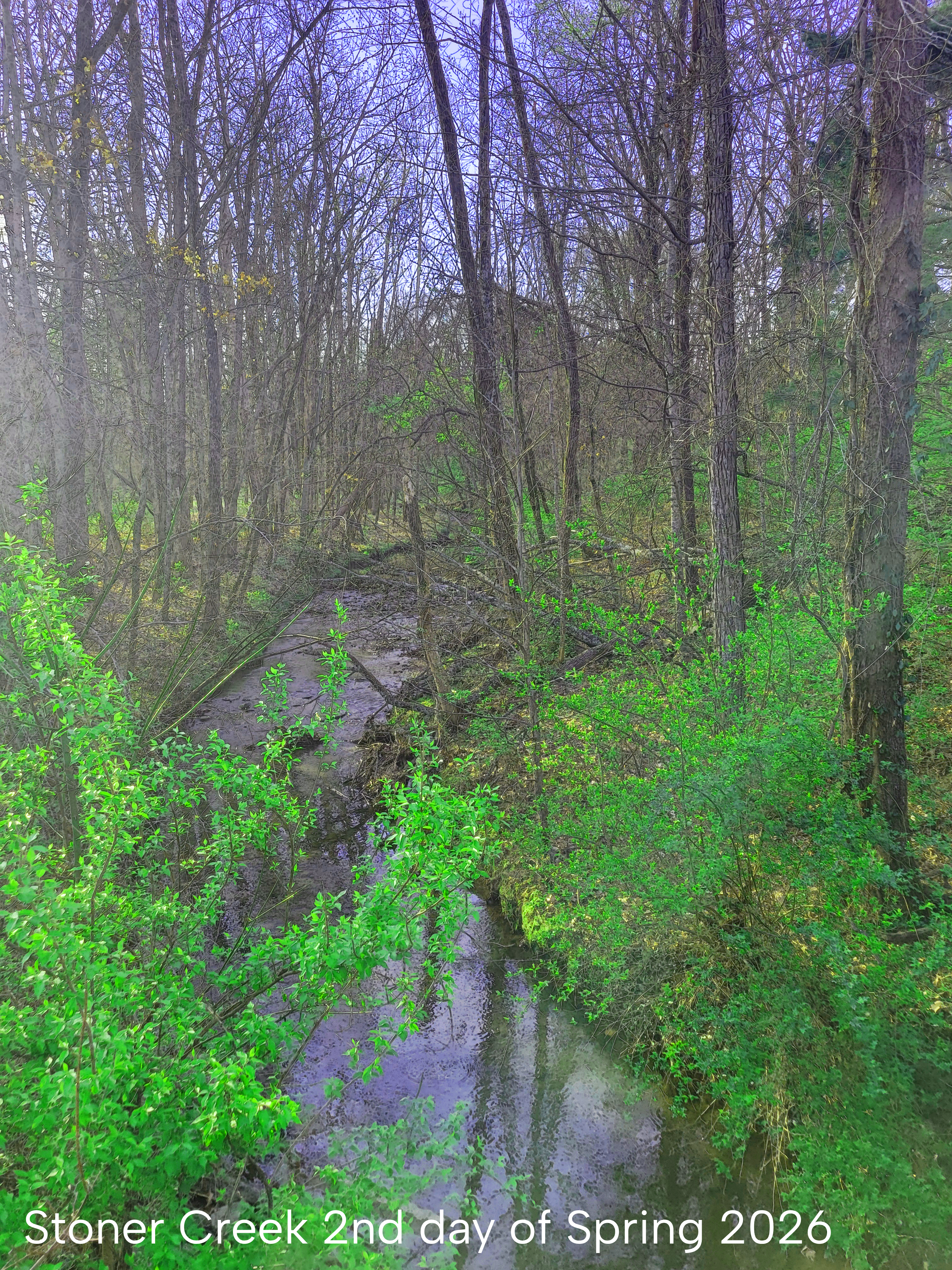 Photos from My Walk
